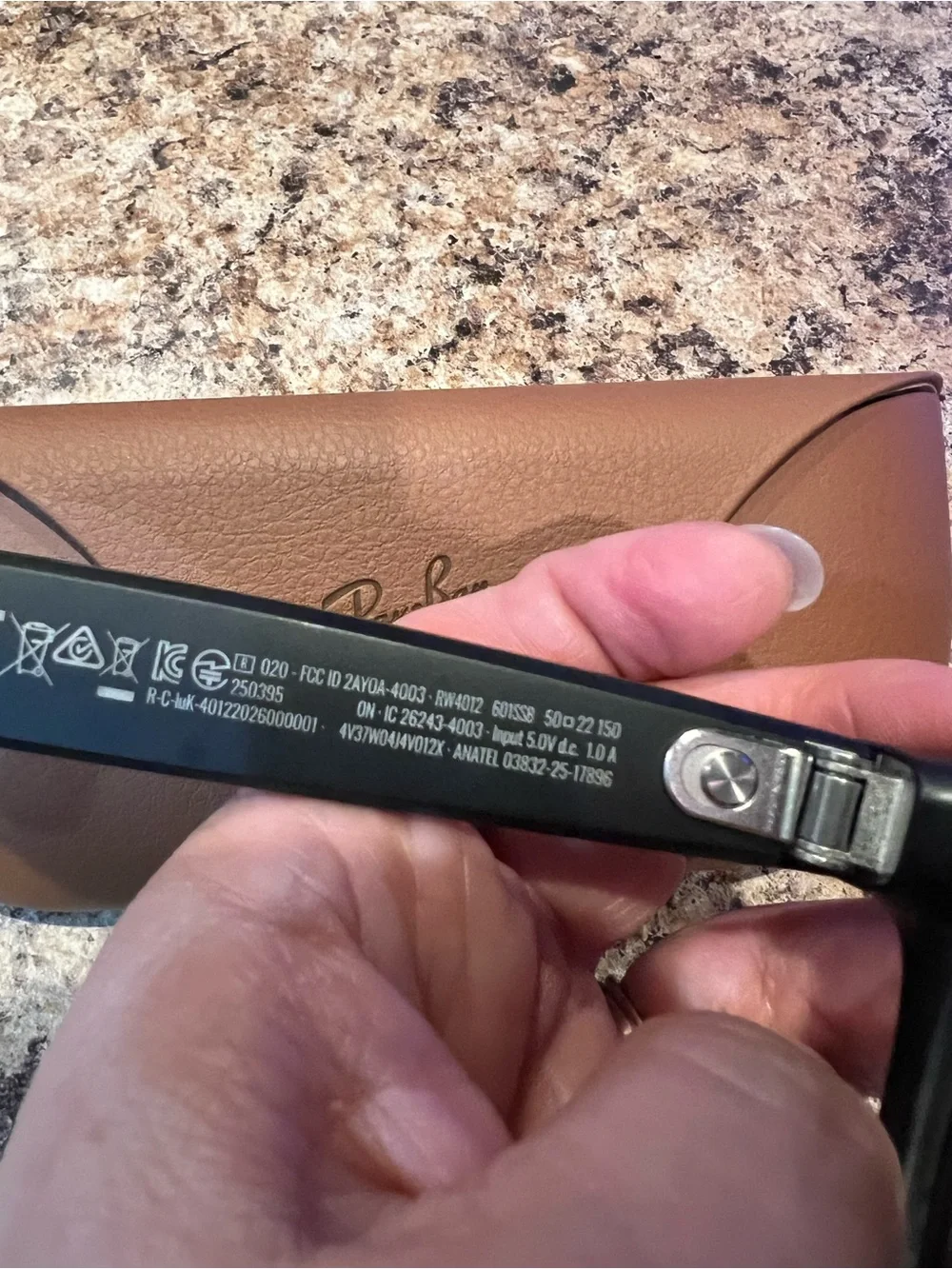 Ray-Ban Wayfarer Meta with Brown Leather Charging Case